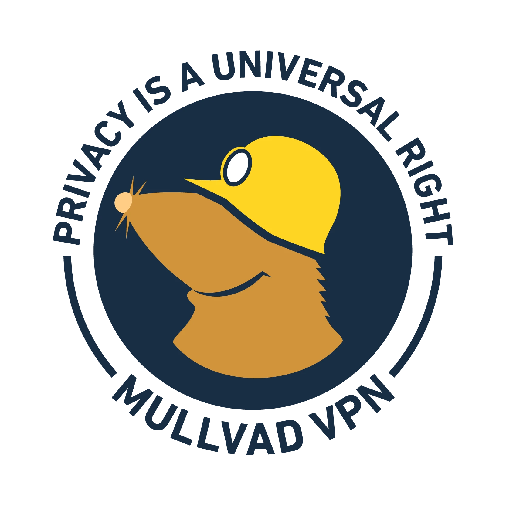 支持更多本地货币支付Mullvad